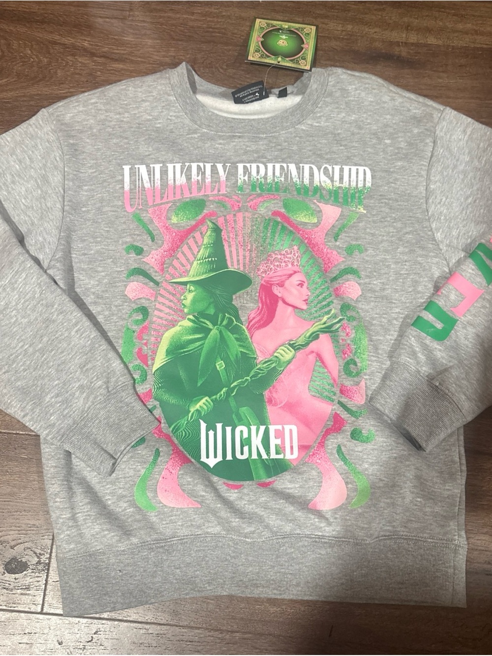 Wicked Graphic Sweatshirt - 'Unlikely Friendship' Sz M NEW
